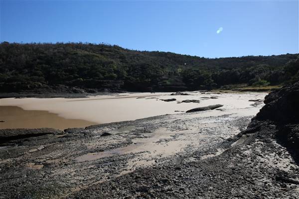 Munmorah State Conservation Area - Snapper Pt and Bongon Beach (4/07/2016)