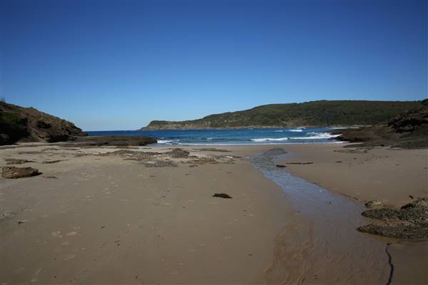 Munmorah State Conservation Area - Snapper Pt and Bongon Beach (4/07/2016)