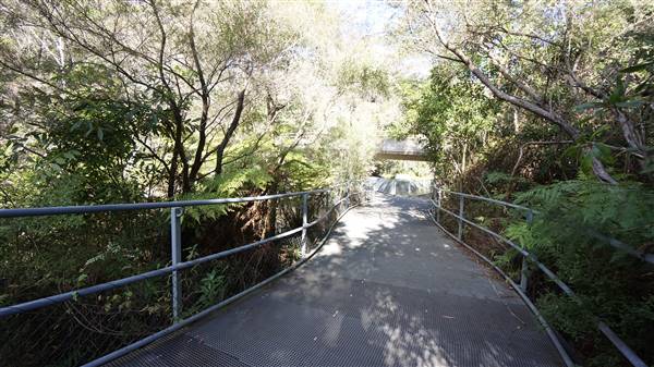 Fitzroy Falls & Twin Falls - Morton National Park (4/07/2016 - Credits: Mary Barltrop)