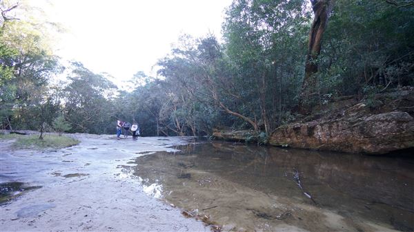 Somersby Falls picnic area - Brisbane Water National Park (4/07/2016 - Credits: Mary Barltrop)