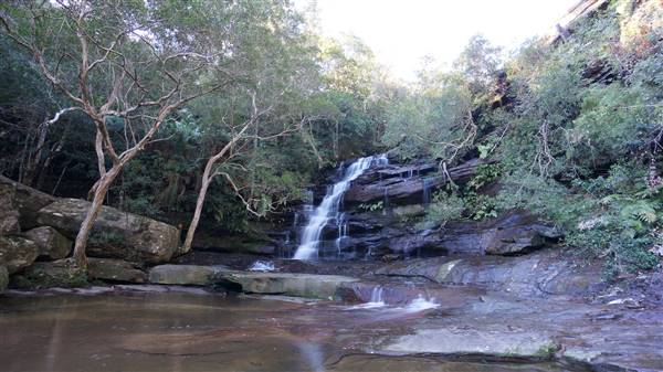 Somersby Falls picnic area - Brisbane Water National Park (4/07/2016 - Credits: Mary Barltrop)