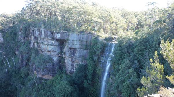 Fitzroy Falls & Twin Falls - Morton National Park (4/07/2016 - Credits: Mary Barltrop)