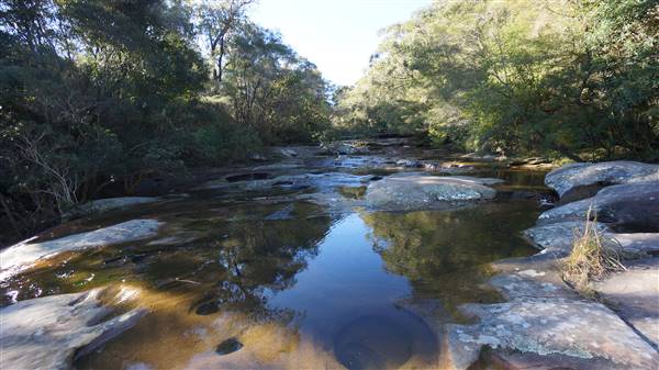 Somersby Falls picnic area - Brisbane Water National Park (4/07/2016 - Credits: Mary Barltrop)