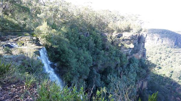 Fitzroy Falls & Twin Falls - Morton National Park (4/07/2016 - Credits: Mary Barltrop)