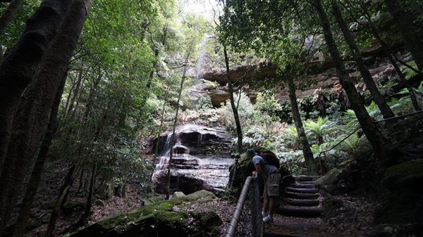 Katoomba Falls Reserve Walk & Tourist Park (5/07/2016 - Credits: Mary Barltrop)
