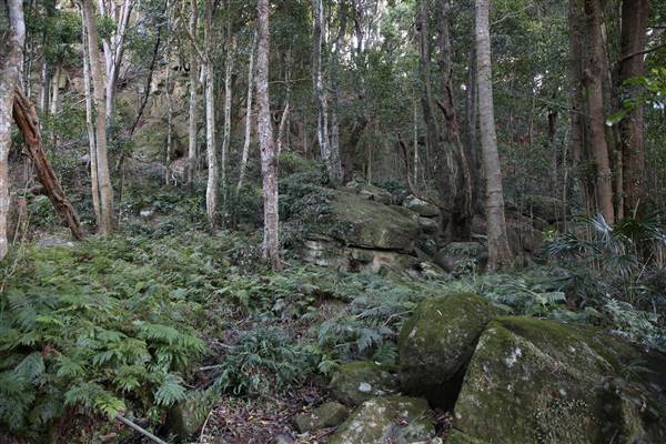 Mount Keira Scout Camp File 1 (5/07/2016)