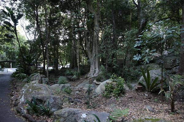 Mount Keira Scout Camp File 1 (5/07/2016)