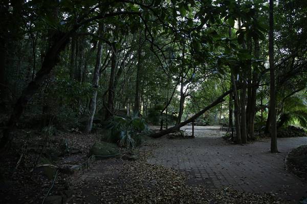 Mount Keira Scout Camp File 1 (5/07/2016)