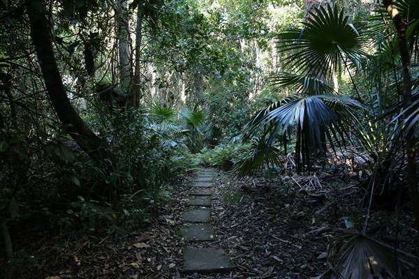 Mount Keira Scout Camp File 1 (5/07/2016)