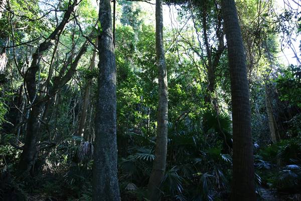 Mount Keira Scout Camp File 1 (5/07/2016)