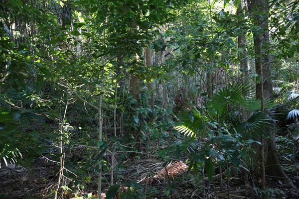 Mount Keira Scout Camp File 1 (5/07/2016)