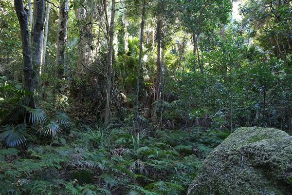 Mount Keira Scout Camp File 1 (5/07/2016)