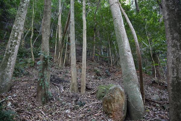 Mount Keira Scout Camp File 1 (5/07/2016)