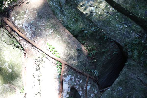 Mount Keira Scout Camp File 1 (5/07/2016)