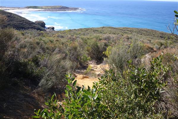Caves Beach North (18/07/2016)