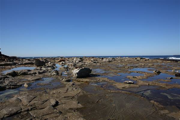 Caves Beach North (18/07/2016)