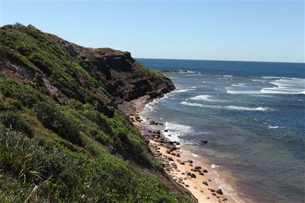 Long Reef Beach (15/10/2016 - Credits: John Harris)