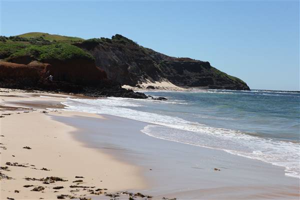 Long Reef Beach (15/10/2016 - Credits: John Harris)