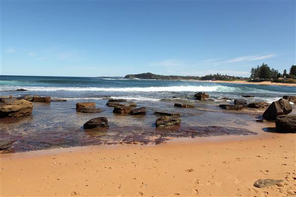 Mona Vale Beach (16/10/2016 - Credits: John Harris)