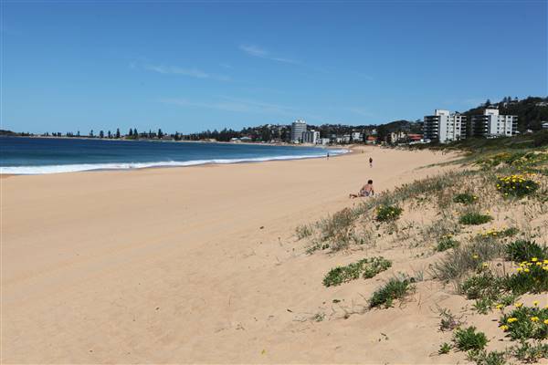 Narrabeen Beach (16/10/2016 - Credits: John Harris)