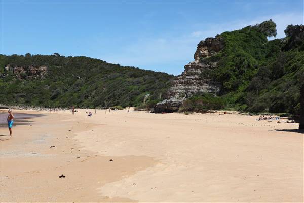 Turimetta Beach (16/10/2016 - Credits: John Harris)