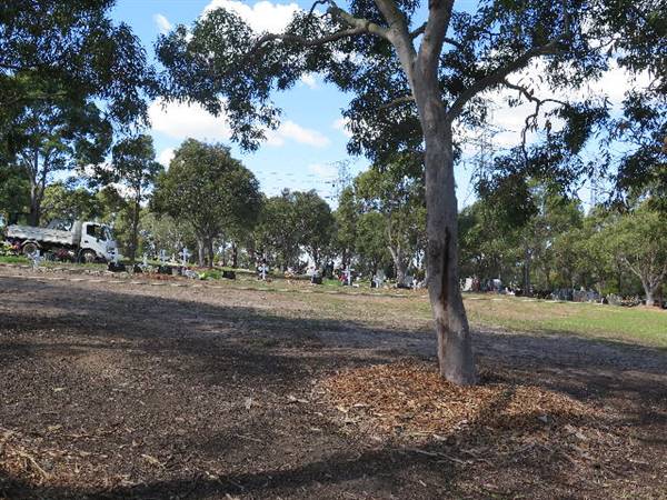 Rookwood Cemetery (10/11/2016 - Credits: Peter Hicks)