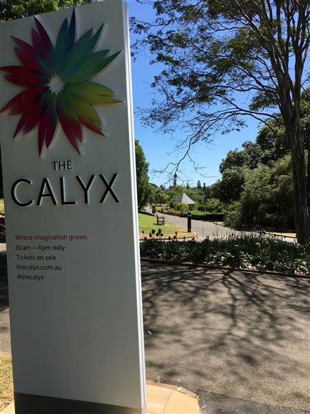 The Calyx - Royal Botanic Garden Sydney (6/11/2016 - Credits: Mechele Axford)