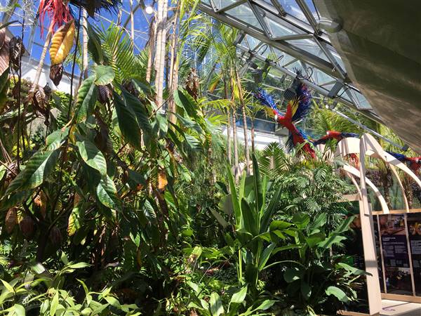 The Calyx - Royal Botanic Garden Sydney (11/11/2016)
