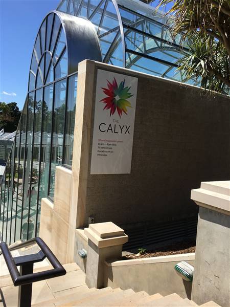 The Calyx - Royal Botanic Garden Sydney (11/11/2016)