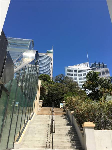 The Calyx - Royal Botanic Garden Sydney (11/11/2016)
