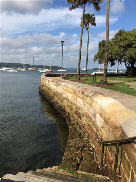 Beare Park Elizabeth Bay Marina (30/11/2016 - Credits: Mechele Axford)