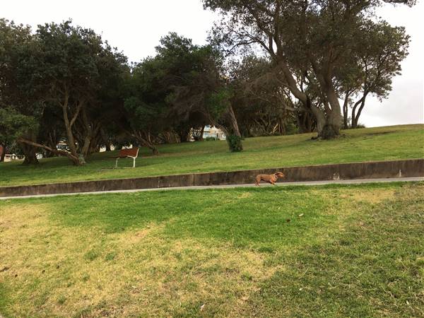 Dunningham Park Coogee (30/11/2016 - Credits: Mechele Axford)