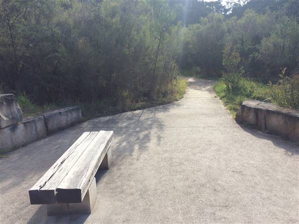 The Gully Walk, Katoomba (formerly Catalina Park) (24/05/2017 - Credits: Robyn Bersten)