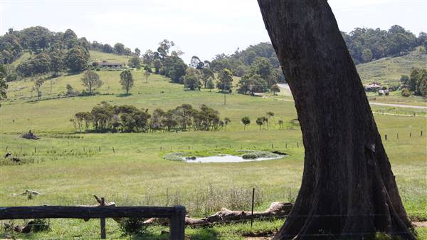 Bega Valley Area (12/07/2017)