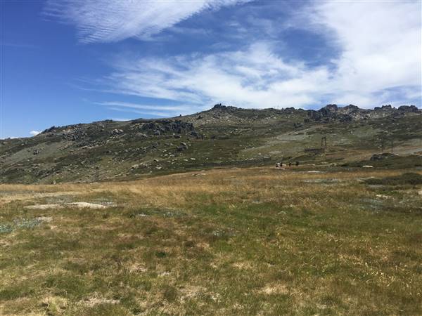 Snowy Mountains region (12/07/2017)