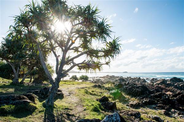 Hastings Point (26/07/2017)
