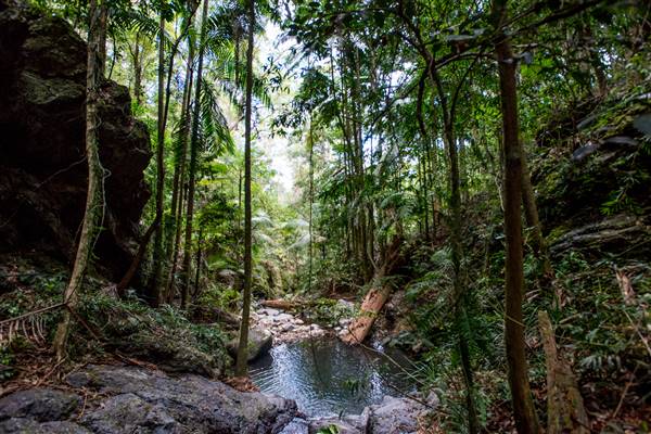 Tunsted Private Property Crystal Creek Valley (1/06/2017 - Credits: Colin McDougal)