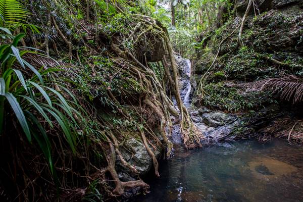 Tunsted Private Property Crystal Creek Valley (1/06/2017 - Credits: Colin McDougal)