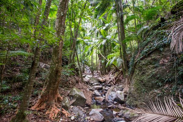 Tunsted Private Property Crystal Creek Valley (1/06/2017 - Credits: Colin McDougal)