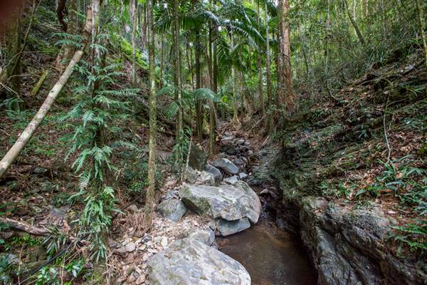 Tunsted Private Property Crystal Creek Valley (8/06/2017 - Credits: Colin McDougal)