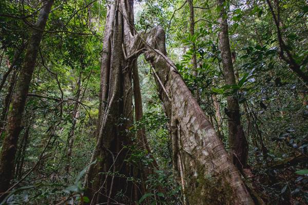 Tunsted Private Property Crystal Creek Valley (8/06/2017 - Credits: Colin McDougal)