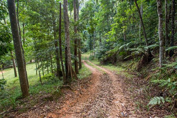 Tunsted Private Property Crystal Creek Valley (1/06/2017 - Credits: Colin McDougal)