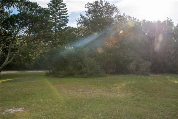 Brunswick Head Estuaries 2017 (27/07/2017 - Credits: Colin McDougall)