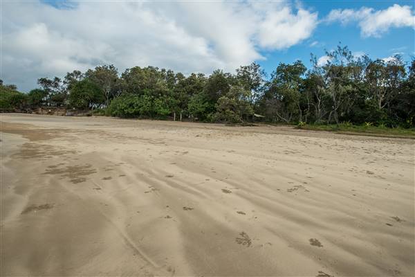 Brunswick Head Estuaries 2017 (27/07/2017 - Credits: Colin McDougall)