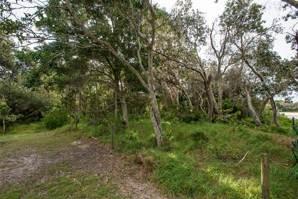 Brunswick Head Estuaries 2017 (27/07/2017 - Credits: Colin McDougall)