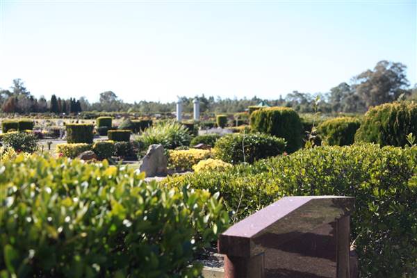 Lung Po Shan - Chinese Memorial Garden (9/08/2017 - Credits: Luke Torrevillas)