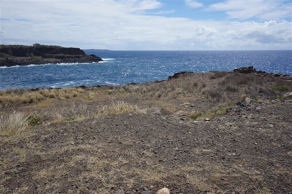 Bombo Headland Quarry (2/02/2018 - Credits: Mary Barltrop)