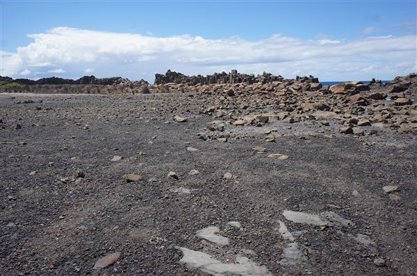 Bombo Headland Quarry (2/02/2018 - Credits: Mary Barltrop)