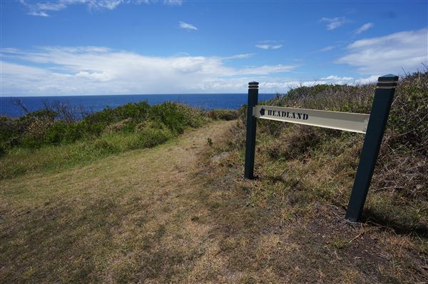 Bombo Headland Quarry (2/02/2018 - Credits: Mary Barltrop)