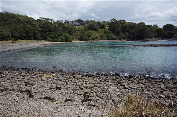 Cameron Boyd Reserve (2/02/2018 - Credits: Mary Barltrop)